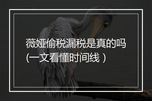 薇娅偷税漏税是真的吗(一文看懂时间线）