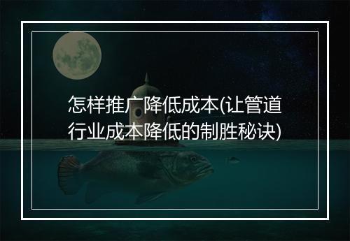怎样推广降低成本(让管道行业成本降低的制胜秘诀)
