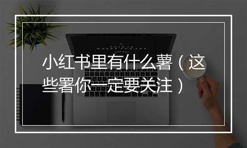 小红书里有什么薯（这些署你一定要关注）