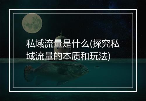 私域流量是什么(探究私域流量的本质和玩法)