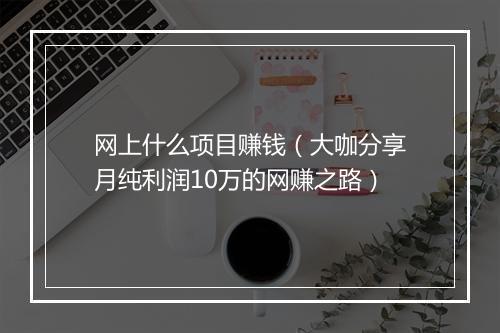 网上什么项目赚钱（大咖分享月纯利润10万的网赚之路）