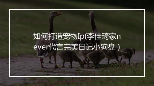 如何打造宠物Ip(李佳琦家never代言完美日记小狗盘）