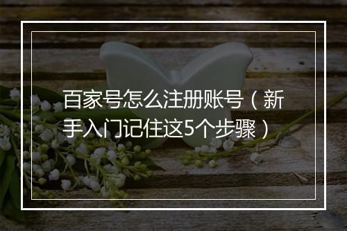 百家号怎么注册账号（新手入门记住这5个步骤）