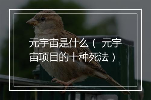 元宇宙是什么（ 元宇宙项目的十种死法）