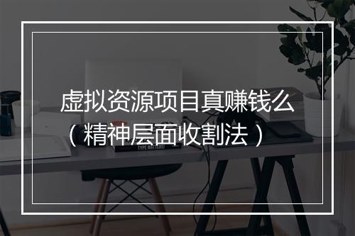 虚拟资源项目真赚钱么（精神层面收割法）