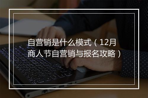 自营销是什么模式（12月商人节自营销与报名攻略）