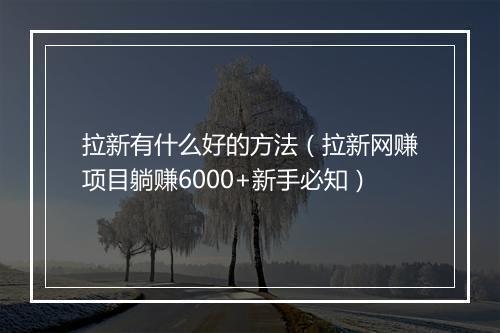 拉新有什么好的方法（拉新网赚项目躺赚6000+新手必知）