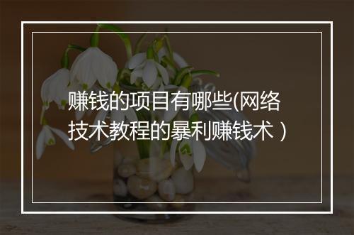 赚钱的项目有哪些(网络技术教程的暴利赚钱术）