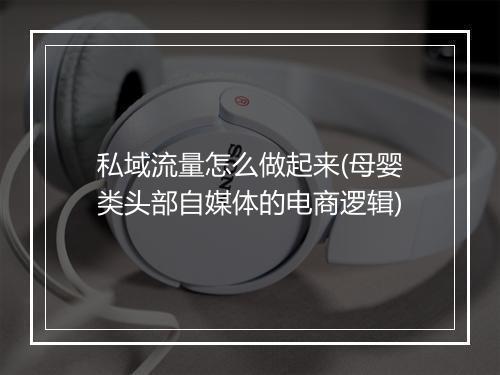 私域流量怎么做起来(母婴类头部自媒体的电商逻辑)