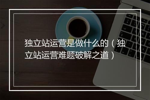 独立站运营是做什么的（独立站运营难题破解之道）