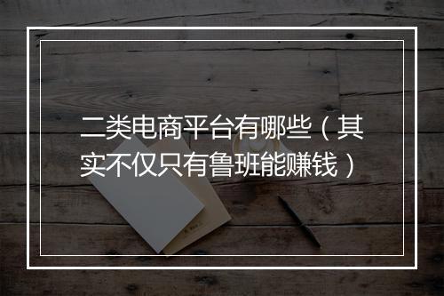 二类电商平台有哪些（其实不仅只有鲁班能赚钱）