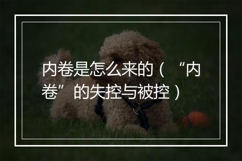 内卷是怎么来的（“内卷”的失控与被控）