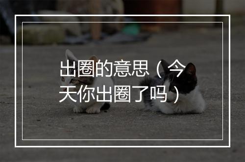 出圈的意思（今天你出圈了吗）