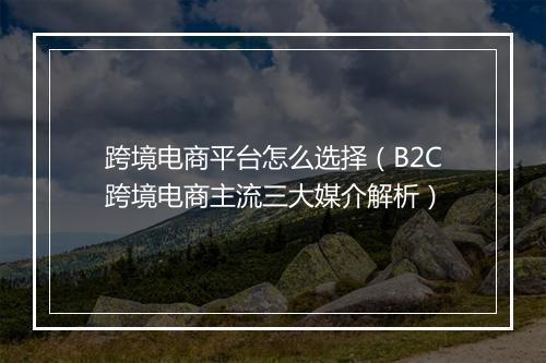 跨境电商平台怎么选择（B2C跨境电商主流三大媒介解析）