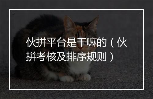 伙拼平台是干嘛的（伙拼考核及排序规则）