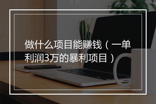 做什么项目能赚钱（一单利润3万的暴利项目）