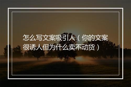 怎么写文案吸引人（你的文案很诱人但为什么卖不动货）