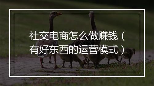 社交电商怎么做赚钱（有好东西的运营模式）