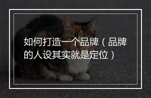 如何打造一个品牌（品牌的人设其实就是定位）
