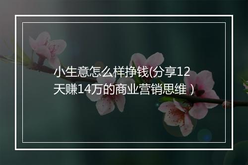 小生意怎么样挣钱(分享12天赚14万的商业营销思维）