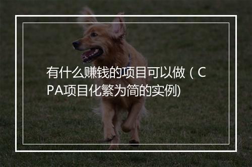 有什么赚钱的项目可以做（CPA项目化繁为简的实例)