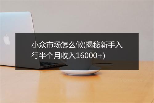 小众市场怎么做(揭秘新手入行半个月收入16000+)