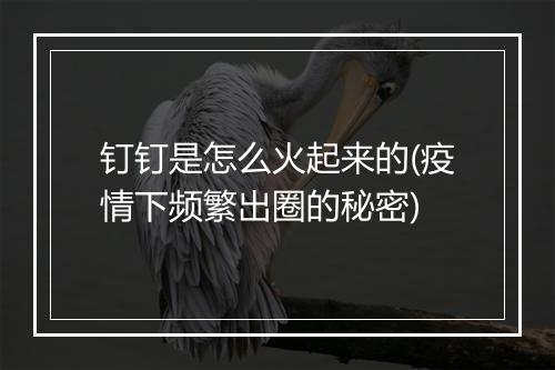 钉钉是怎么火起来的(疫情下频繁出圈的秘密)