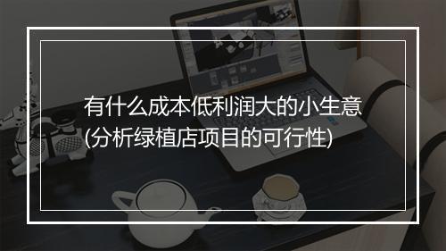 有什么成本低利润大的小生意(分析绿植店项目的可行性)