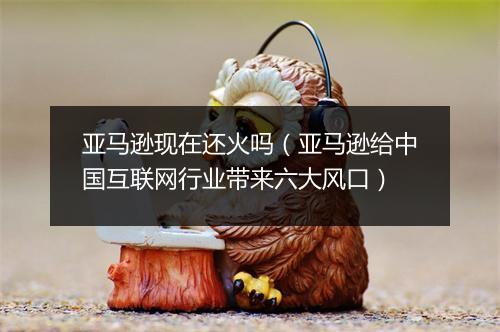 亚马逊现在还火吗（亚马逊给中国互联网行业带来六大风口）