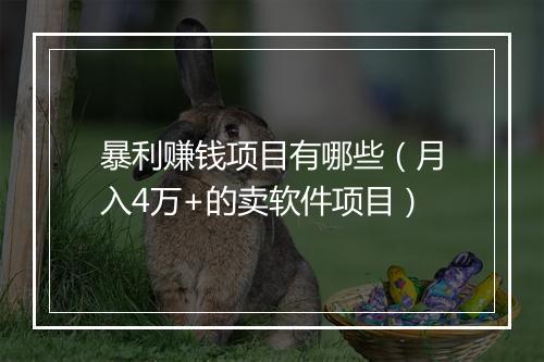 暴利赚钱项目有哪些（月入4万+的卖软件项目）