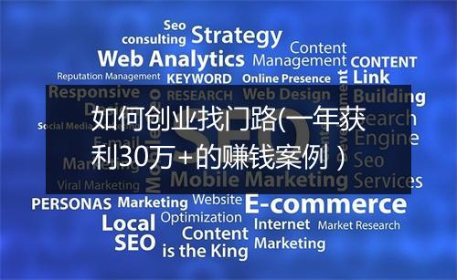 如何创业找门路(一年获利30万+的赚钱案例）