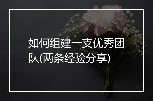 如何组建一支优秀团队(两条经验分享)