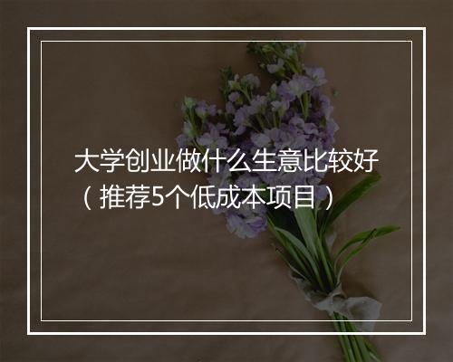 大学创业做什么生意比较好（推荐5个低成本项目）