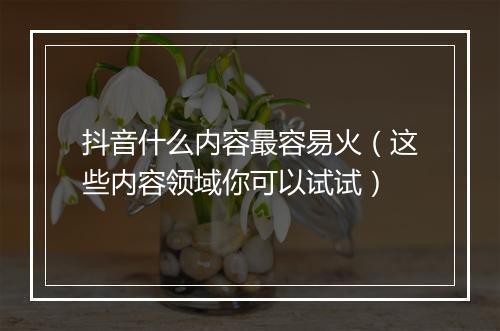 抖音什么内容最容易火（这些内容领域你可以试试）