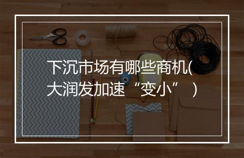 下沉市场有哪些商机(大润发加速“变小”）