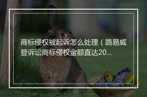 商标侵权被起诉怎么处理（路易威登诉讼商标侵权金额直达200W）