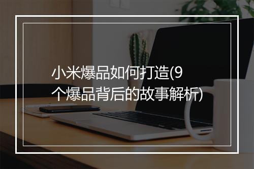 小米爆品如何打造(9 个爆品背后的故事解析)