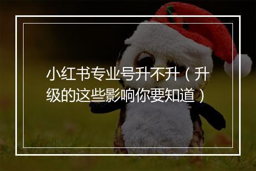 小红书专业号升不升（升级的这些影响你要知道）