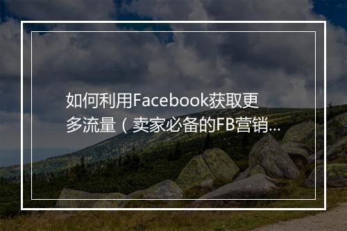 如何利用Facebook获取更多流量（卖家必备的FB营销指南）