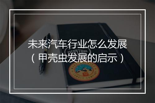 未来汽车行业怎么发展（甲壳虫发展的启示）