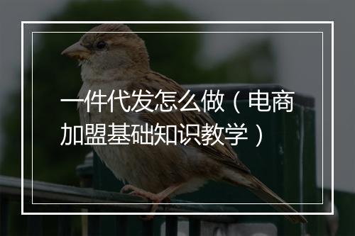 一件代发怎么做（电商加盟基础知识教学）