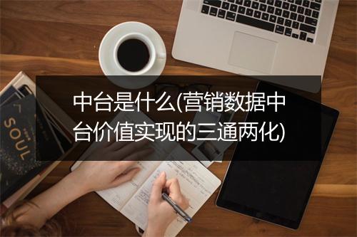 中台是什么(营销数据中台价值实现的三通两化)