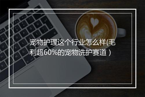宠物护理这个行业怎么样(毛利超60%的宠物洗护赛道）