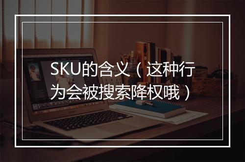 SKU的含义（这种行为会被搜索降权哦）