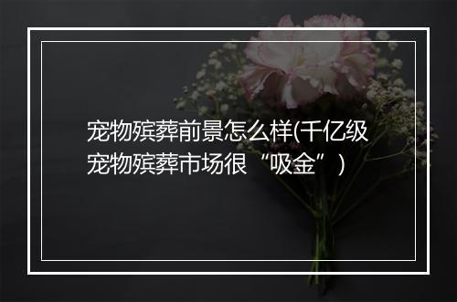 宠物殡葬前景怎么样(千亿级宠物殡葬市场很“吸金”)