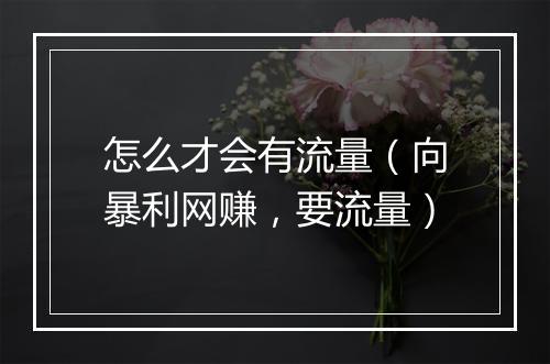 怎么才会有流量（向暴利网赚，要流量）