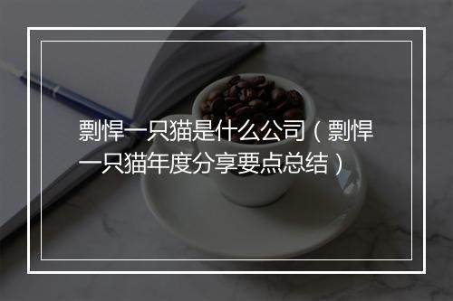 剽悍一只猫是什么公司（剽悍一只猫年度分享要点总结）
