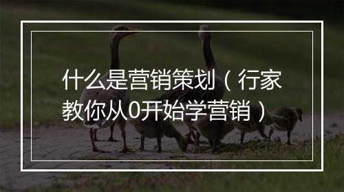 什么是营销策划（行家教你从0开始学营销）