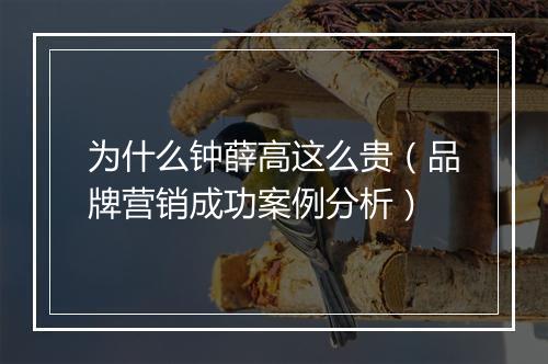 为什么钟薛高这么贵（品牌营销成功案例分析）