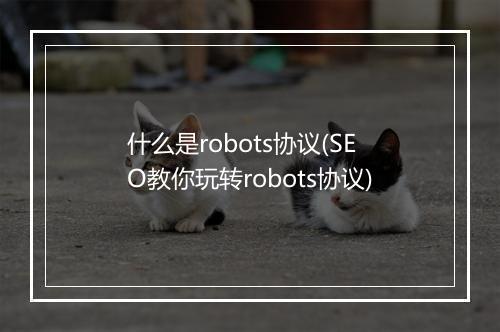 什么是robots协议(SEO教你玩转robots协议)